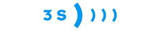 3S